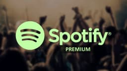 Подписка Spotify0